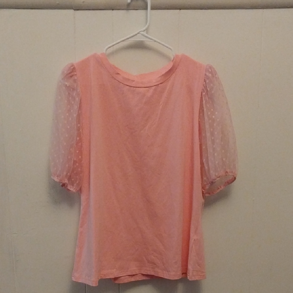 Pink Sheer Sleeve Top